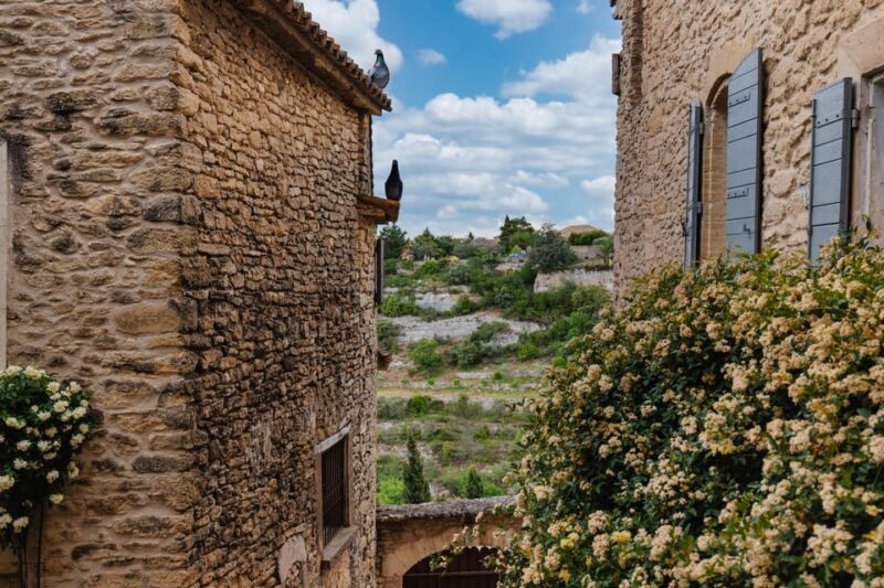 From Marseille: Luberon Market & Villages Full-Day Tour - Itinerary and Highlights