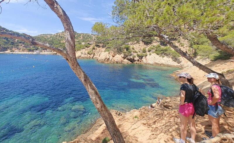 From Marseille to the Calanques Blueues by Train, Hike, Lagoons and Villages - Refreshing Swims and Relaxation at the Emerald Calanque