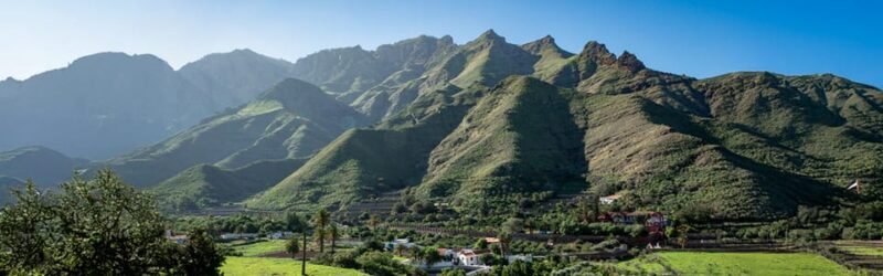 From Maspalomas/Las Palmas: Gáldar, Coffee Farm/Wine Estate, Puerto De Las Nieves - Highlights of Gáldar