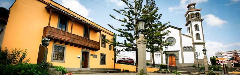 From Maspalomas/Las Palmas: Gáldar, Coffee Farm/Wine Estate, Puerto De Las Nieves - Exploring the Agaete Valley