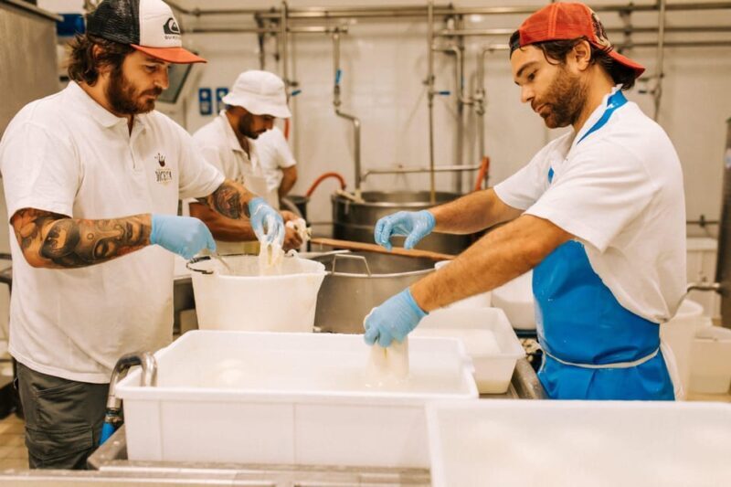 From Matera: Altamura Cheese and Pastry Tasting Day Trip - Key Points