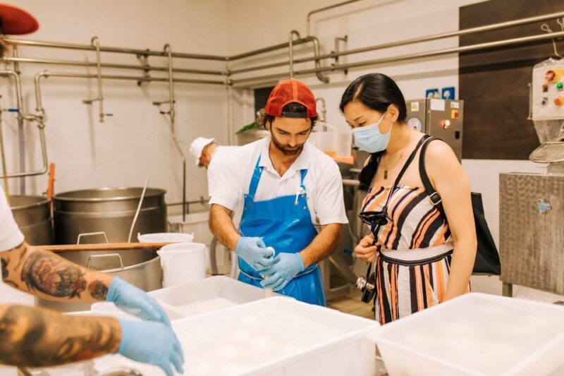 From Matera: Altamura Cheese and Pastry Tasting Day Trip - Who Should Consider This Tour?