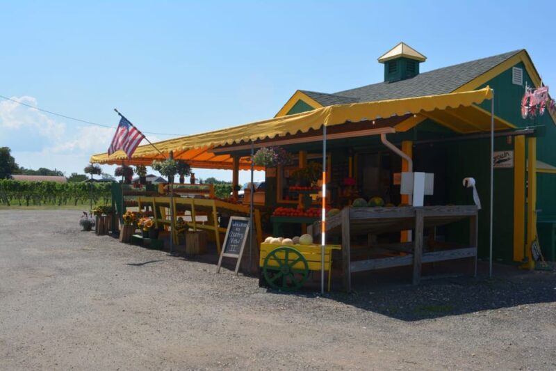 From Mattituck: Guided Brewery and Vineyard Tour by Bicycle - Booking and Cancellation Policy