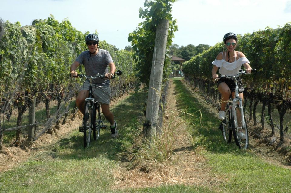 From Mattituck: North Fork Area Bike Tour With Food Tasting - Group Size and Suitability