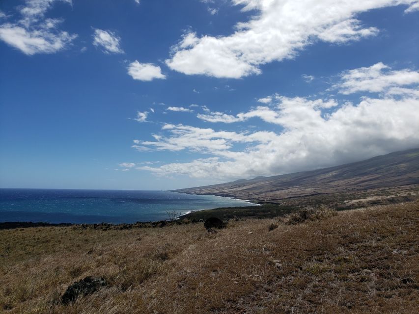 From Maui: Private Road to Hana Day Trip - Requirements