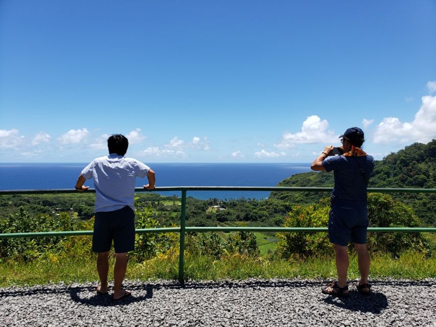 From Maui: Private Road to Hana Day Trip - Customer Reviews