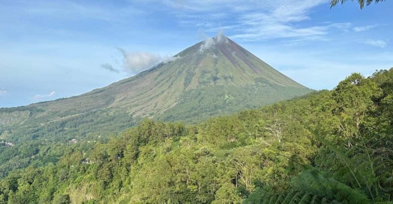 From Maumere: 4-Day Private Guided Tour of Flores With Food - Participant Restrictions