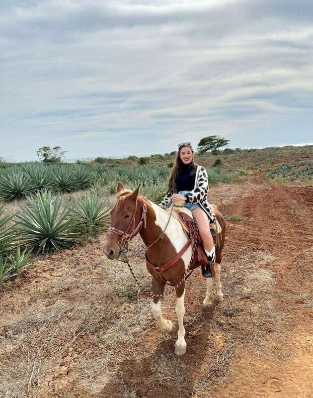 From Mazatlan: ATV & Horse Back riding with Tequila Tasting - Key Points