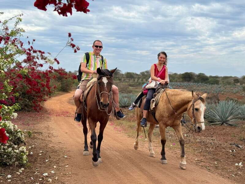 From Mazatlan: ATV & Horse Back riding with Tequila Tasting - An In-Depth Look at the Tour Experience