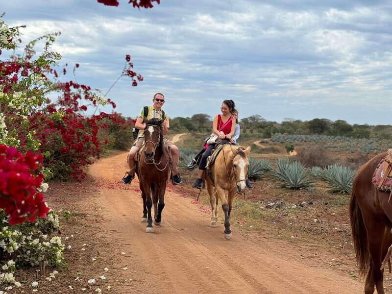 From Mazatlan: ATV & Horse Back riding with Tequila Tasting - Final Thoughts – Who Should Consider This Tour?