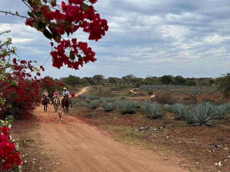 From Mazatlan: ATV & Horse Back riding with Tequila Tasting - Frequently Asked Questions