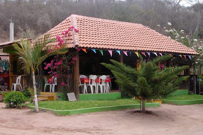 From Mazatlan - La Noria Artisan Tour The Blue Agave - Key Points