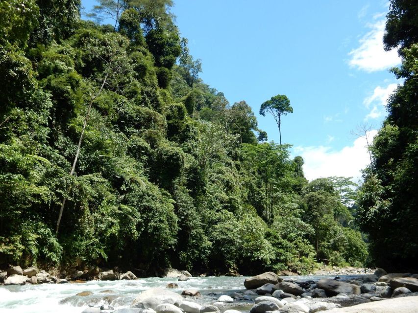 From Medan: 4-Day Tour to Bukit Lawang Including Jungle Trek - Inclusions and Exclusions