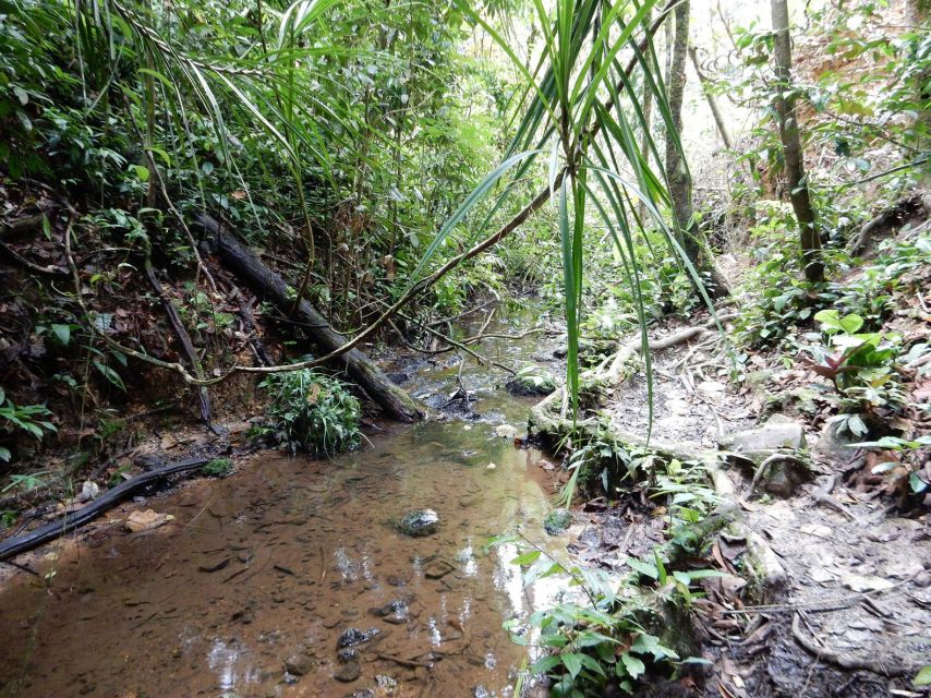 From Medan: 4-Day Tour to Bukit Lawang Including Jungle Trek - Preparing for the Trek