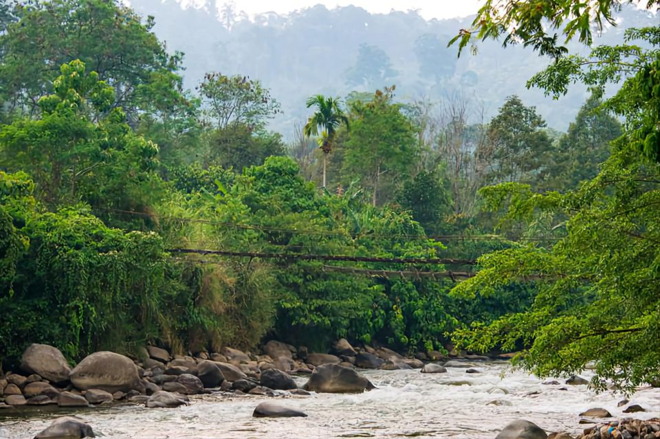 From Medan: Mount Leuser National Park Full-Day Trip - Orangutan Care Center Visit