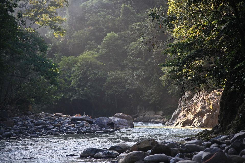 From Medan: Mount Leuser National Park Full-Day Trip - Jungle Hike and Exploration