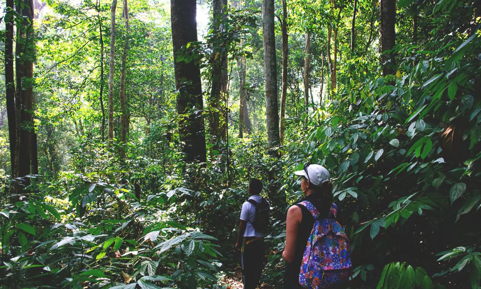 From Medan: Mount Leuser National Park Full-Day Trip - Booking and Cancellation
