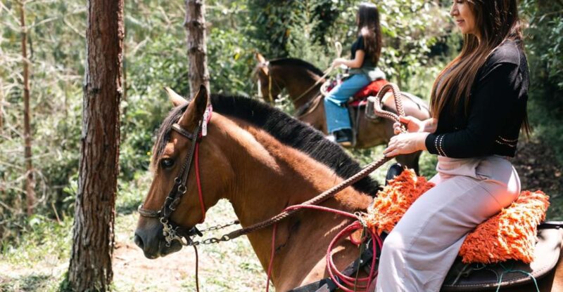 From Medellin: Horseback Riding, Cow Milking, and Food Tour - Horseback Riding Adventure