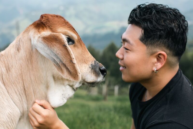 From Medellin: Horseback Riding, Cow Milking, and Food Tour - Cow Milking Experience