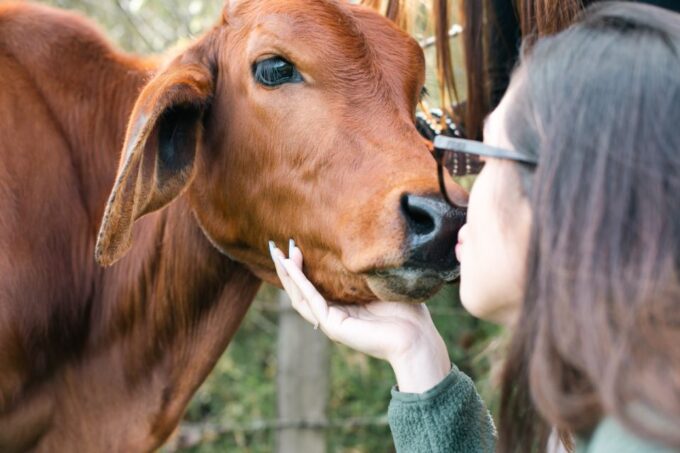 From Medellin: Horseback Riding, Cow Milking, and Food Tour - Customer Feedback and Ratings