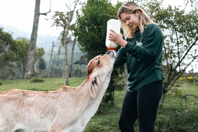 From Medellin: Horseback Riding, Cow Milking, and Food Tour - What to Bring for the Tour