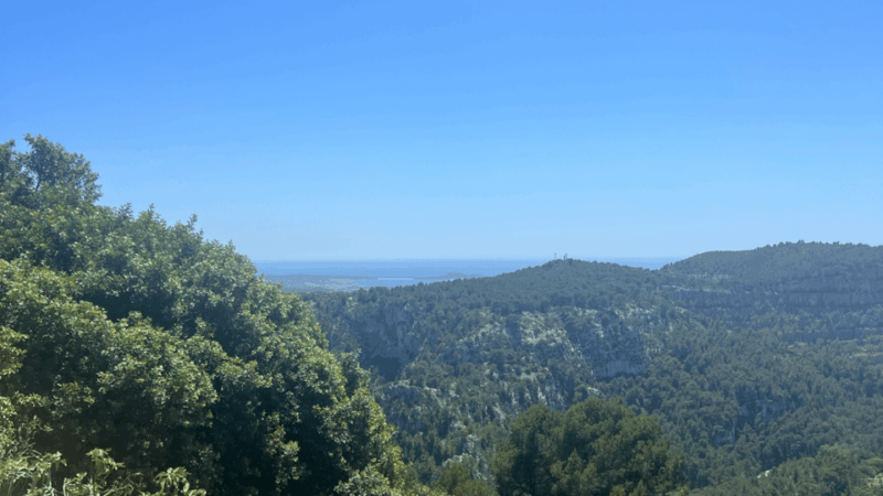 From Medieval Evenos to Bandol Wines : a Taste of Provence - Discover the Wines of Bandol