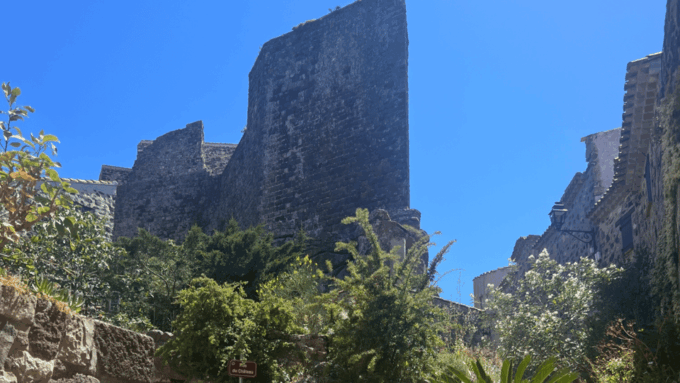 From Medieval Evenos to Bandol Wines : a Taste of Provence - Important Information and Considerations