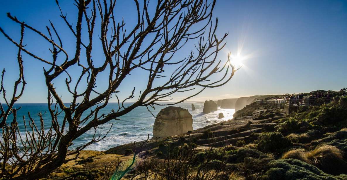 From Melbourne: 2-Day Great Ocean Road & Grampians Escape - Experience Highlights
