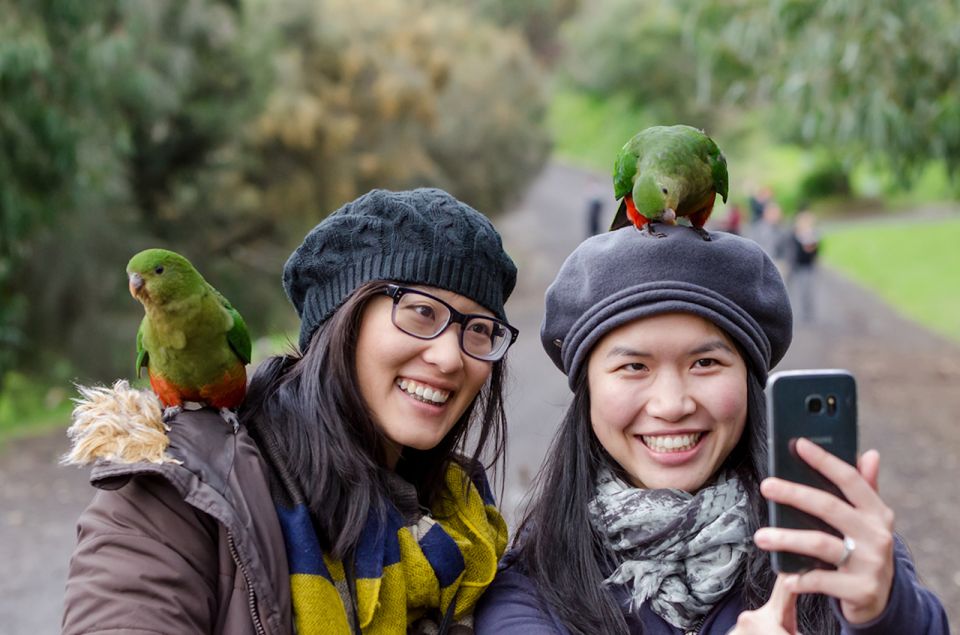 From Melbourne: 3-Day Great Ocean Road Grampians Tour - Recap