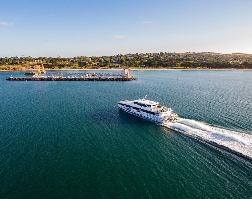 From Melbourne: Bellarine Hop-On Hop-Off Bus and Ferry - Itinerary