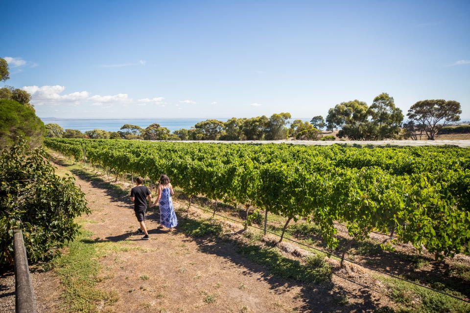 From Melbourne: Bellarine Hop-On Hop-Off Bus and Ferry - Frequently Asked Questions