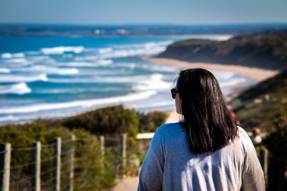 From Melbourne: Bellarine Peninsula Sightseeing & Ferry Ride - Key Points