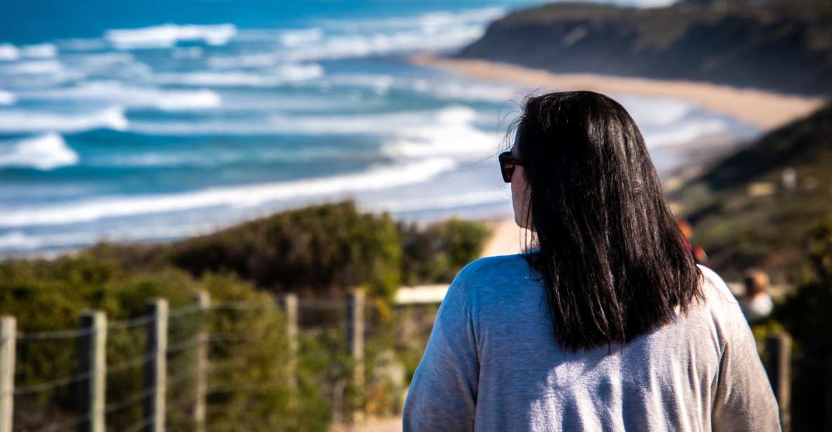 From Melbourne: Bellarine Peninsula Sightseeing & Ferry Ride - Highlights
