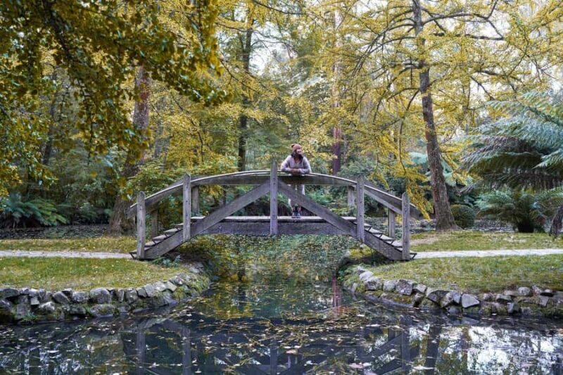 From Melbourne: Dandenong Ranges Private Day Tour - Strolling Through Iconic Gardens