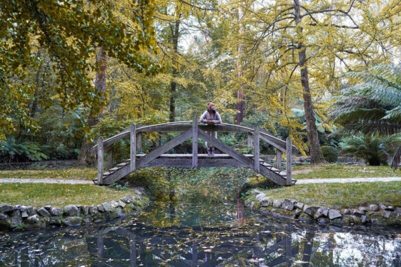 From Melbourne: Dandenong Ranges Private Day Tour - Authentic Experience Backed by Rave Reviews