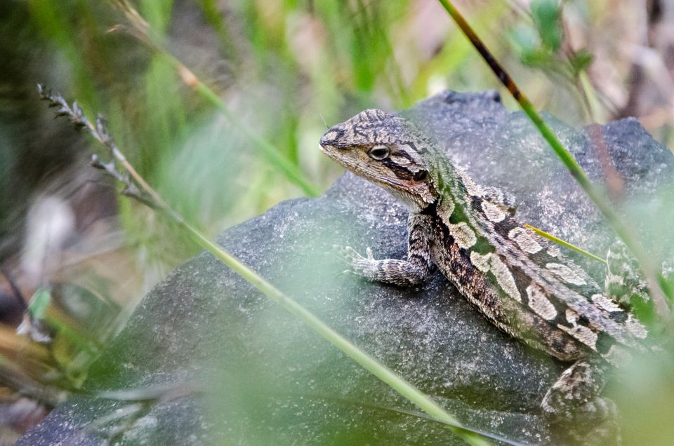 From Melbourne: Grampians National Park Bushwalking Tour - Recap