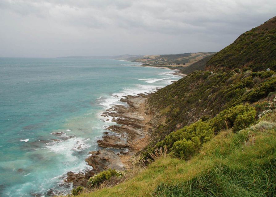 From Melbourne: Great Ocean Road Day Tour - Customer Reviews