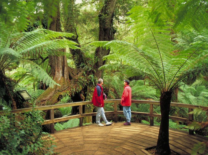 From Melbourne: Great Ocean Road Full-Day Guided Trip - Itinerary