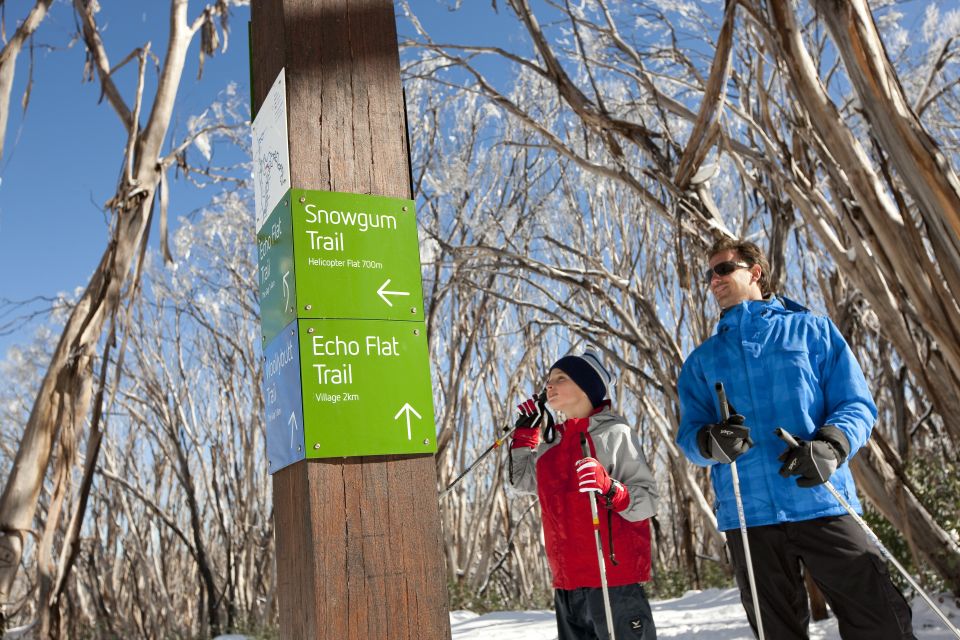 From Melbourne: Lake Mountain Snow Experience - Key Points