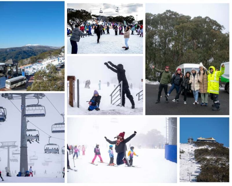 From Melbourne: Mount Buller Guided Day Tour - Authentic Experiences and Traveler Insights