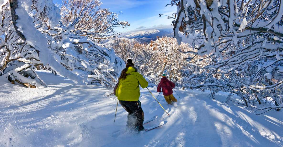 From Melbourne: Mt Buller Day Tour - Key Points