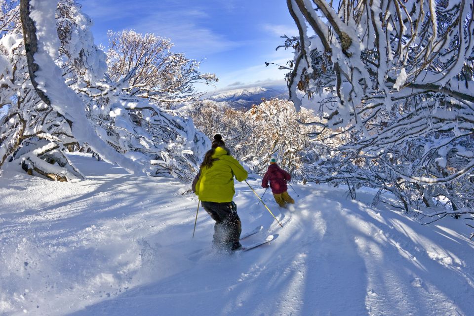 From Melbourne: Mt Buller Day Tour - Activity Description