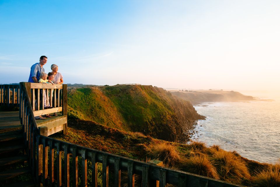 From Melbourne: Penguin Parade and Koalas Tour - Itinerary