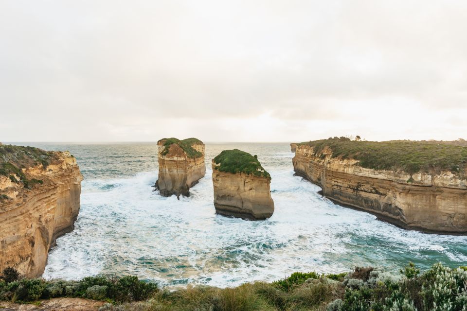 From Melbourne: Penguin Parade, Koalas & Kangaroos - Key Points