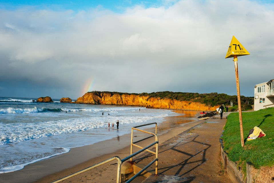 From Melbourne: Penguin Parade, Koalas & Kangaroos - Important Information