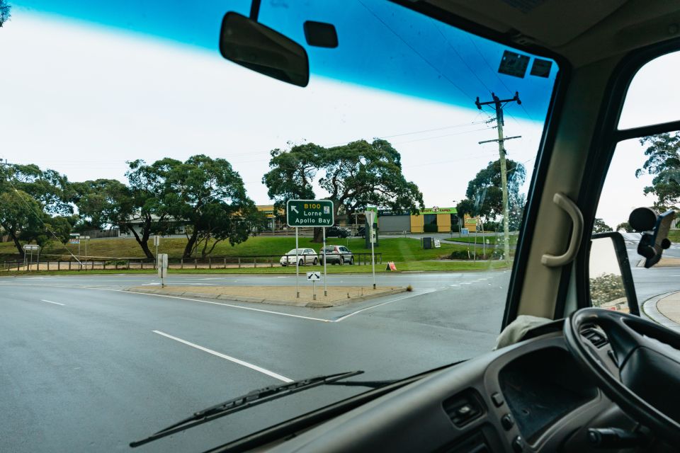 From Melbourne: Penguin Parade, Koalas & Kangaroos - Recap