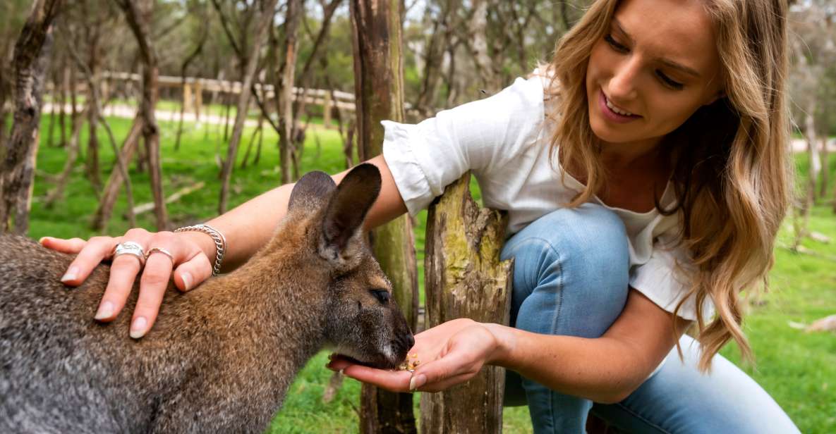From Melbourne: Penguins and Wildlife Nature Day Tour - Booking Information