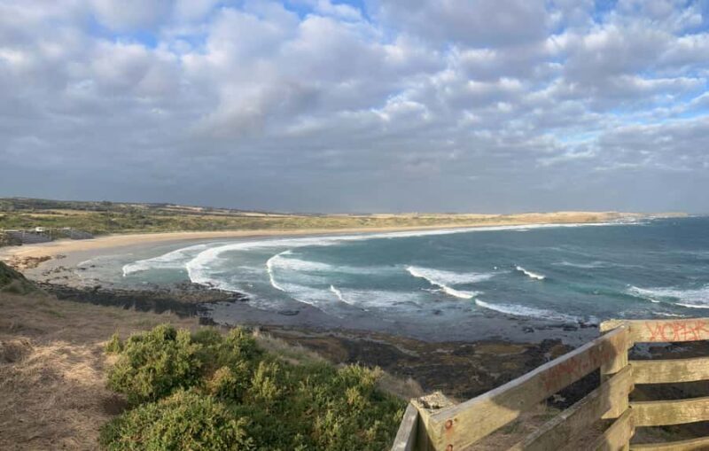 From Melbourne: Phillip Is Penguin Parade & Koala Reserve - The Main Event: The Penguin Parade