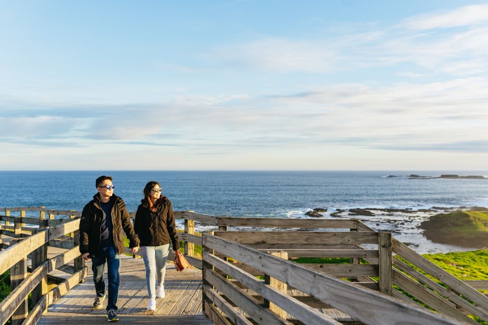 From Melbourne: Phillip Island Eco Wildlife Tour - Key Points