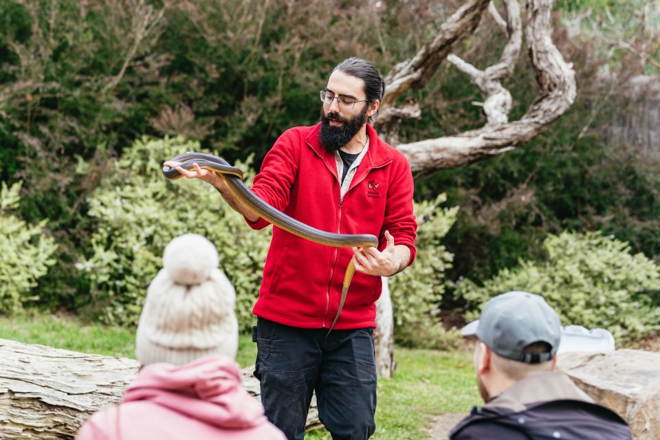 From Melbourne: Phillip Island Eco Wildlife Tour - Inclusions